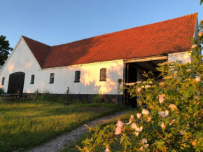 Camønogaarden B&B, darksky cabins and events in Borre